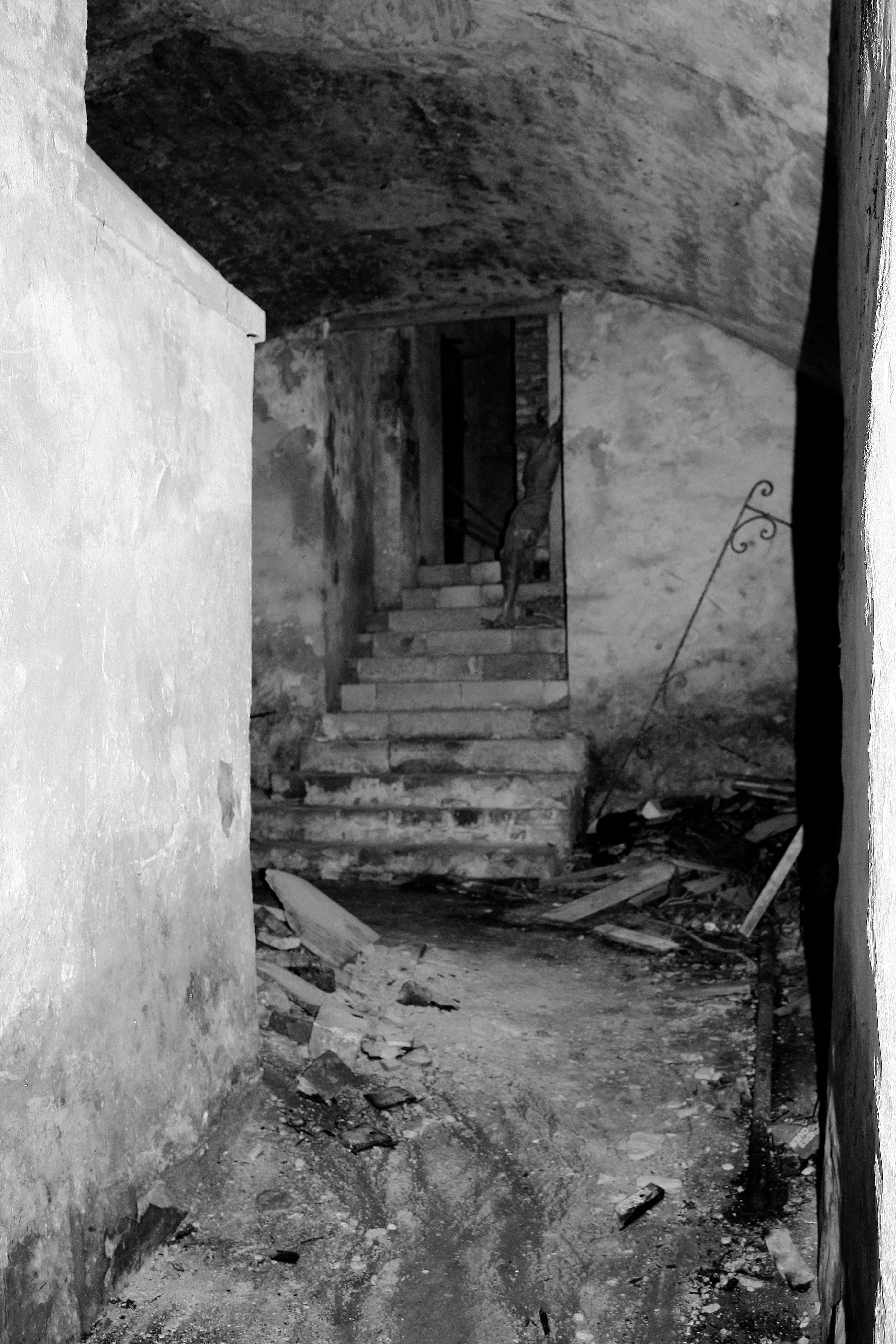 boulogne-sur-mer 365